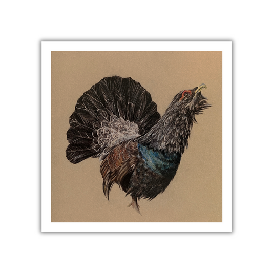 "Capercaillie" Greetings Card