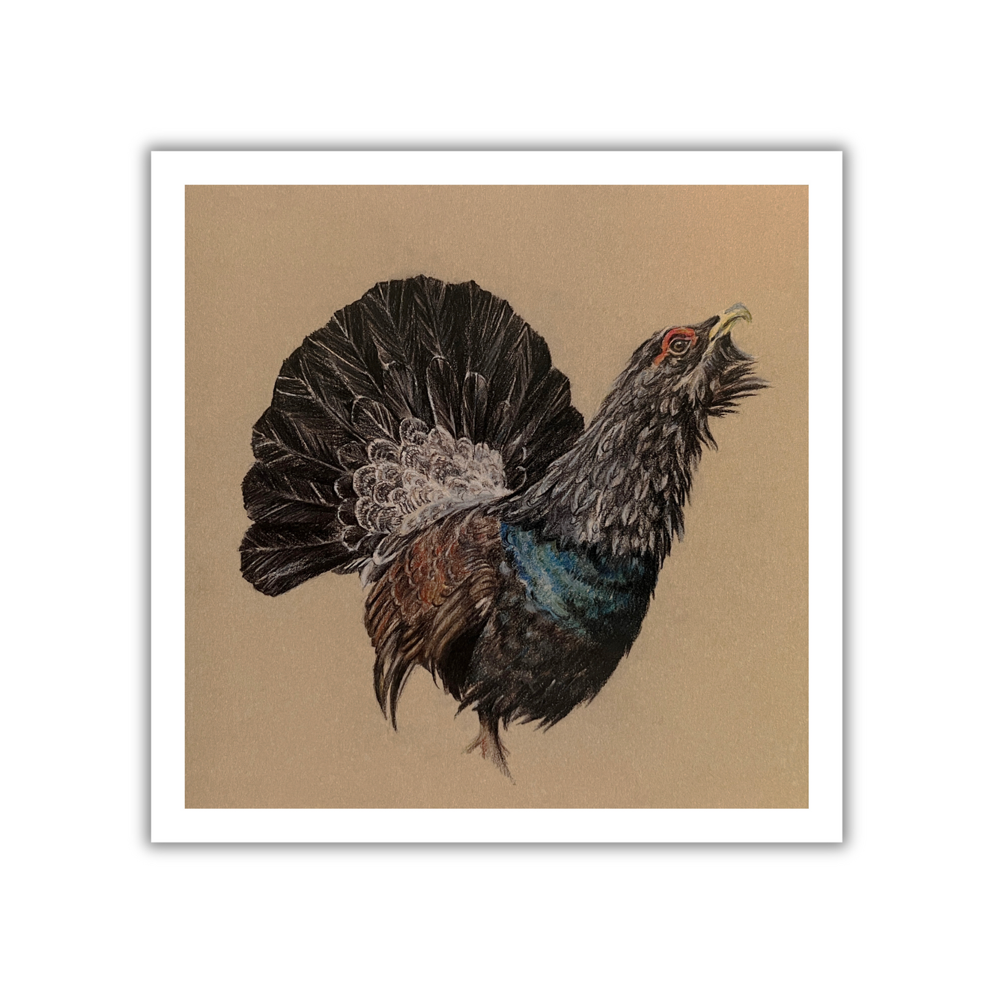 "Capercaillie" Signed Limited Edition Giclée Print