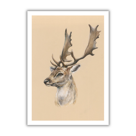 "Fallow Buck" Signed Limited Edition Giclée Print