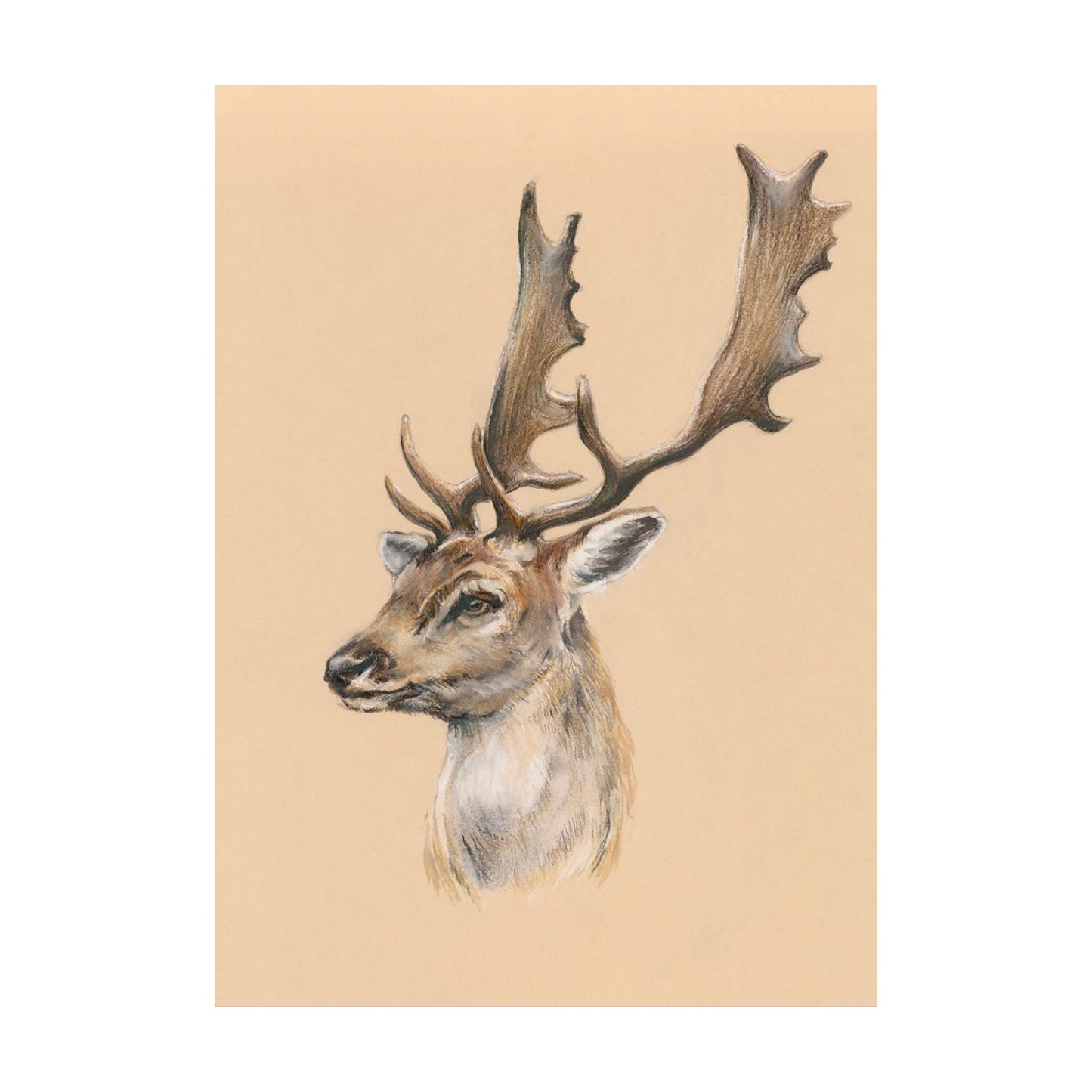 "Fallow Buck" Signed Limited Edition Giclée Print
