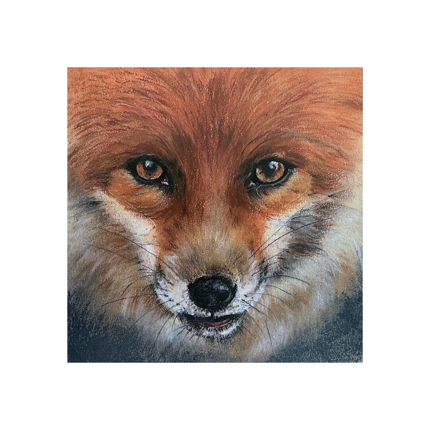 "Gazing Fox" Signed Limited Edition Giclée Print