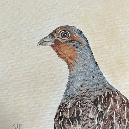 "Grey Partridge" Signed Limited Edition Canvas Print
