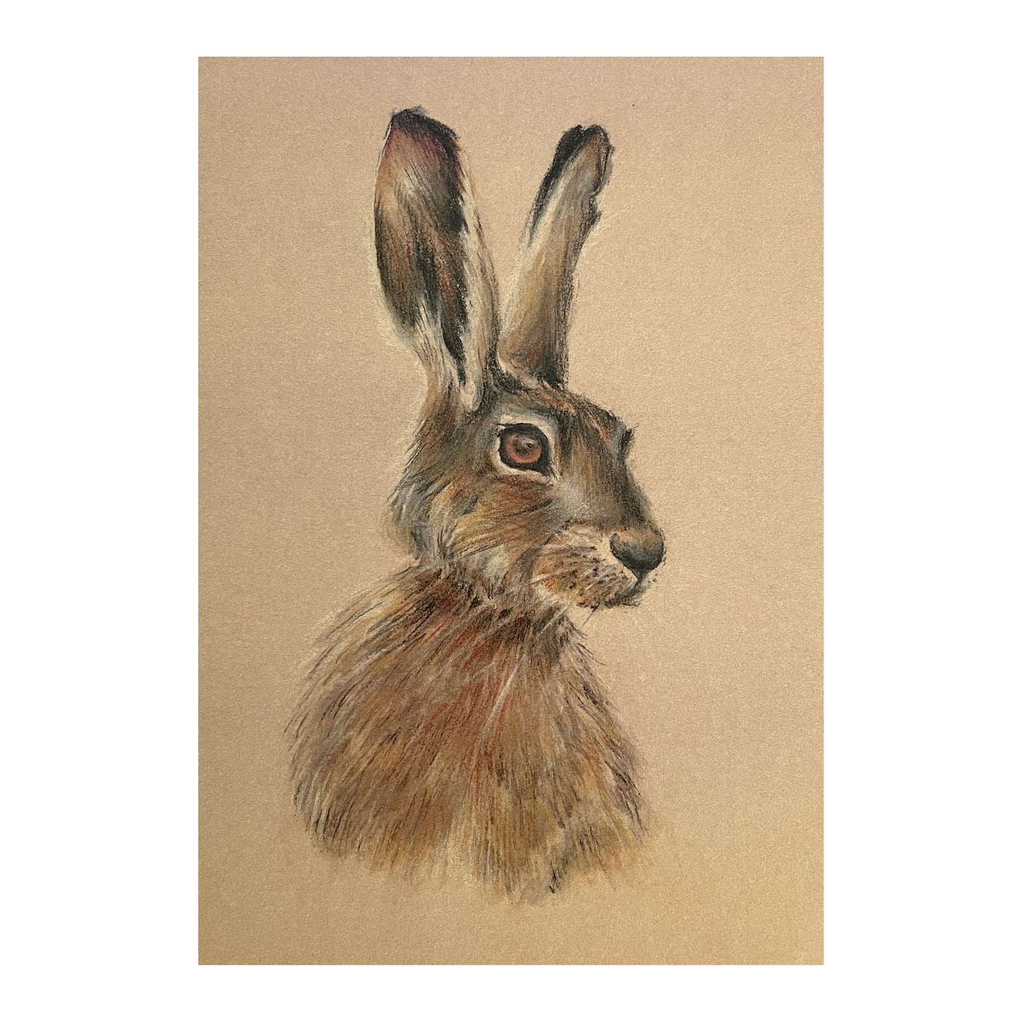 "Hare Head" Greetings Card