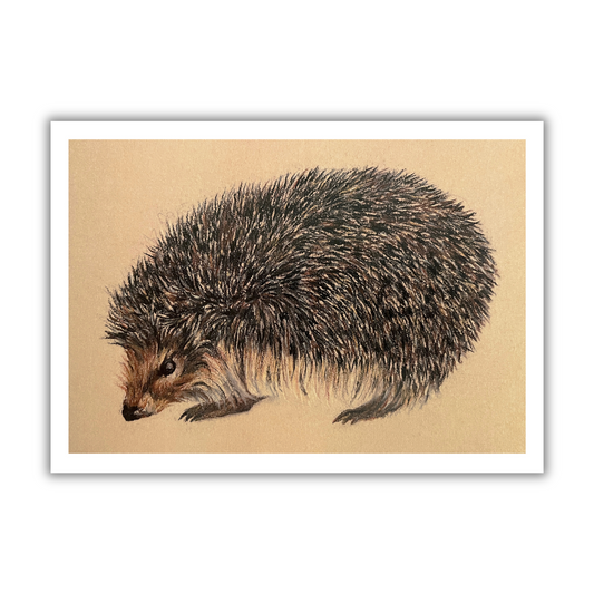 "Hedgehog" Signed Limited Edition Giclée Print