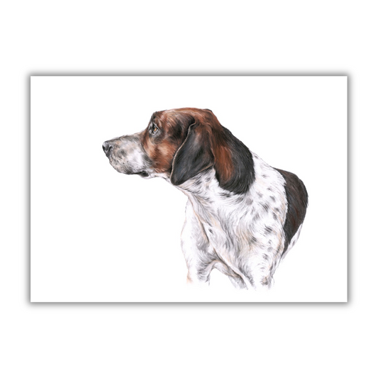 "Hound 1" Signed Limited Edition Giclée Print