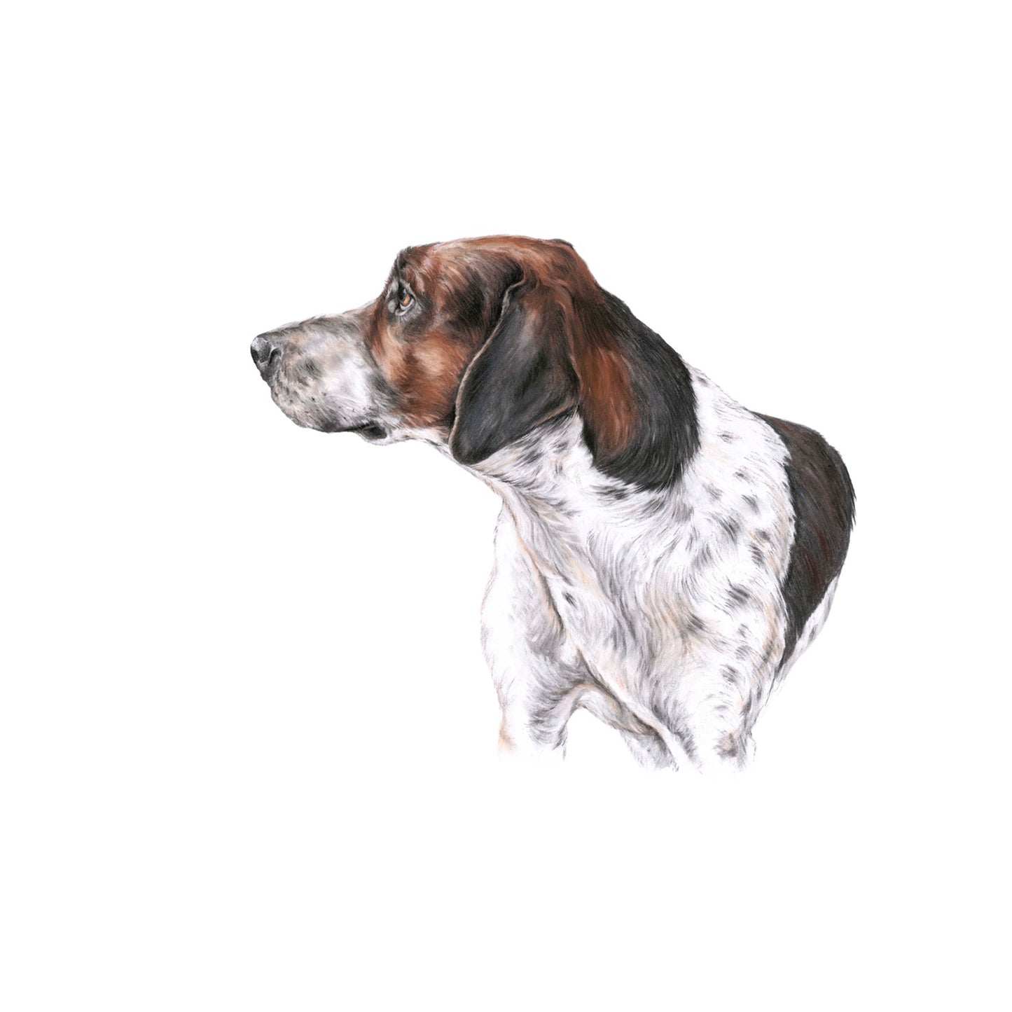 "Hound 1" Signed Limited Edition Giclée Print