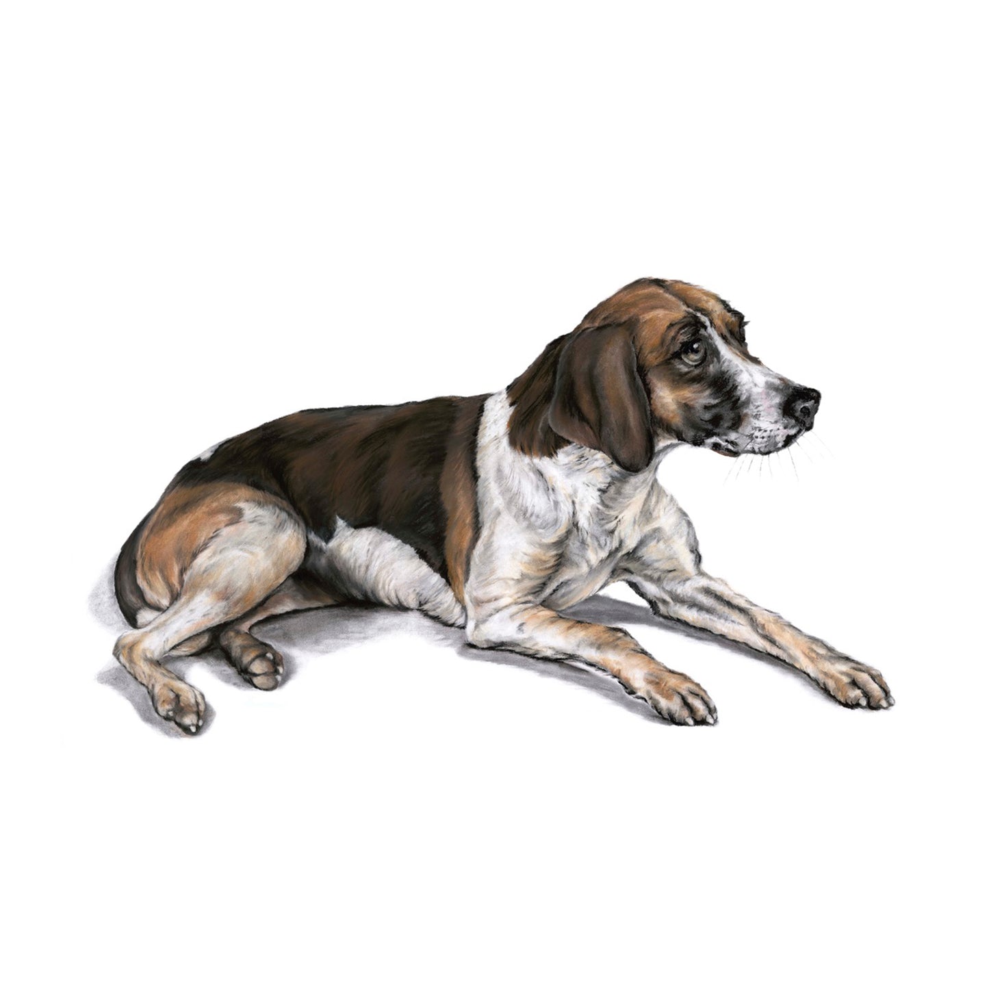 "Hound 2" Signed Limited Edition Giclée Print