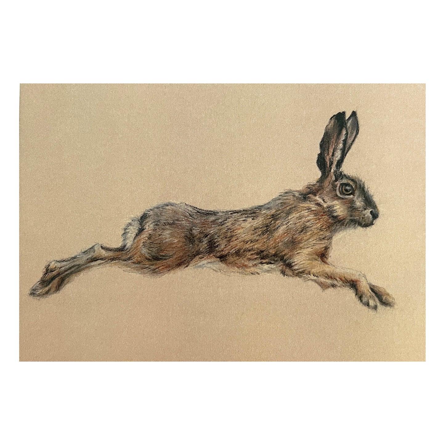 "Leaping Hare" Signed Limited Edition Giclée Print