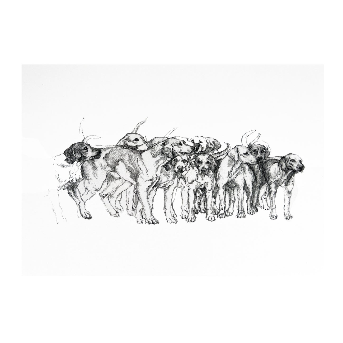 "Ready for the Off!" Greetings Card