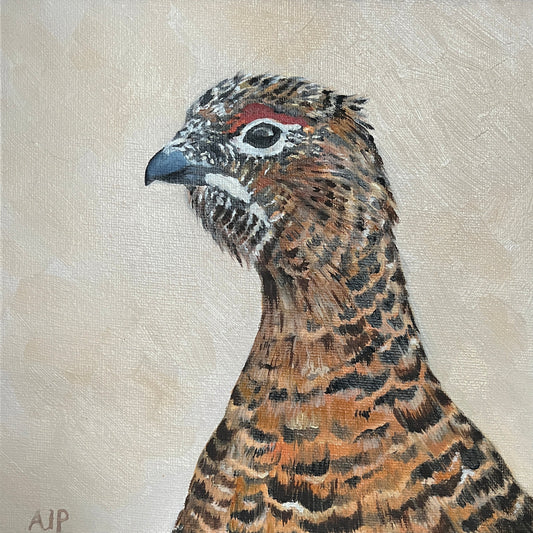 "Red Grouse" Signed Limited Edition Canvas Print