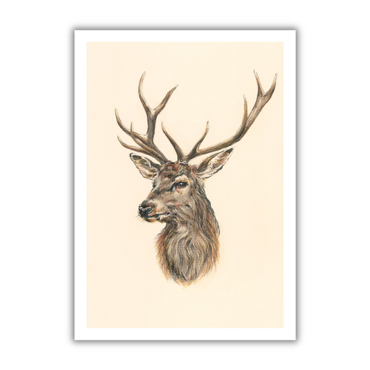 "Red Stag" Greetings Card
