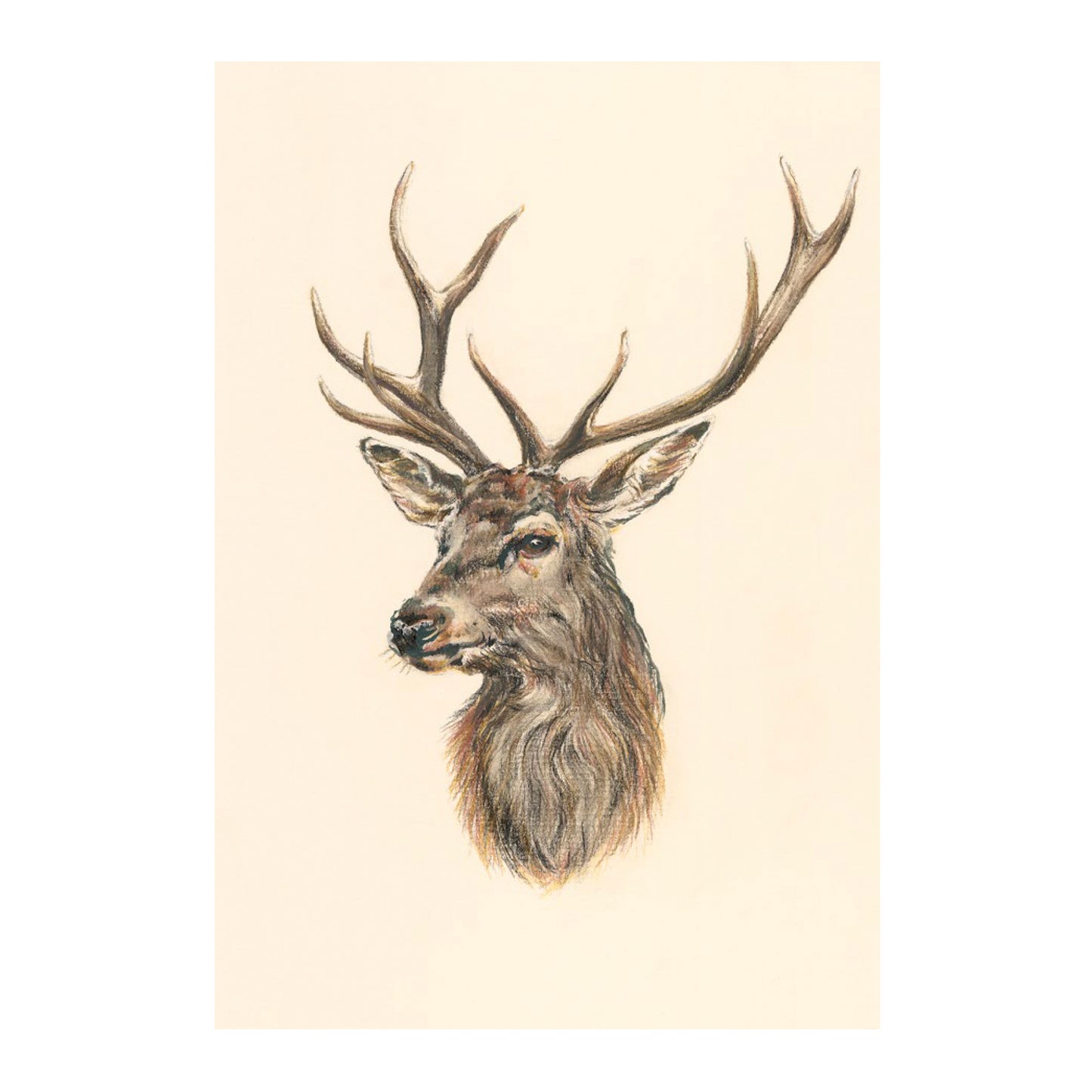 "Red Stag" Greetings Card