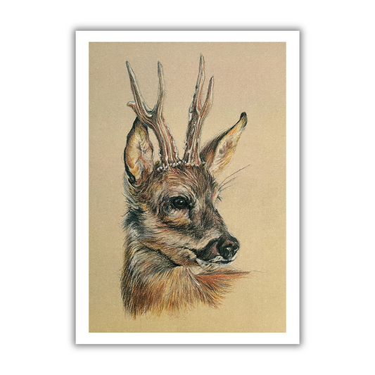 "Roe Buck" Signed Limited Edition Giclée Print