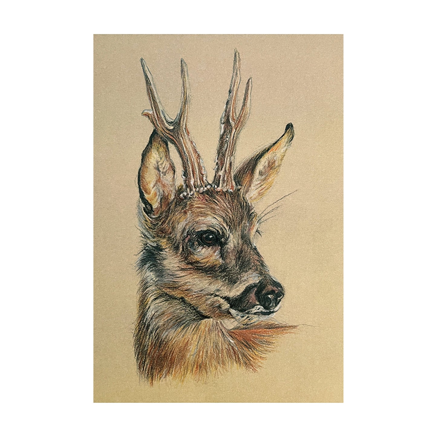 "Roe Buck" Signed Limited Edition Giclée Print