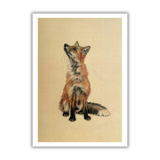 "Seated Fox" Greetings Card