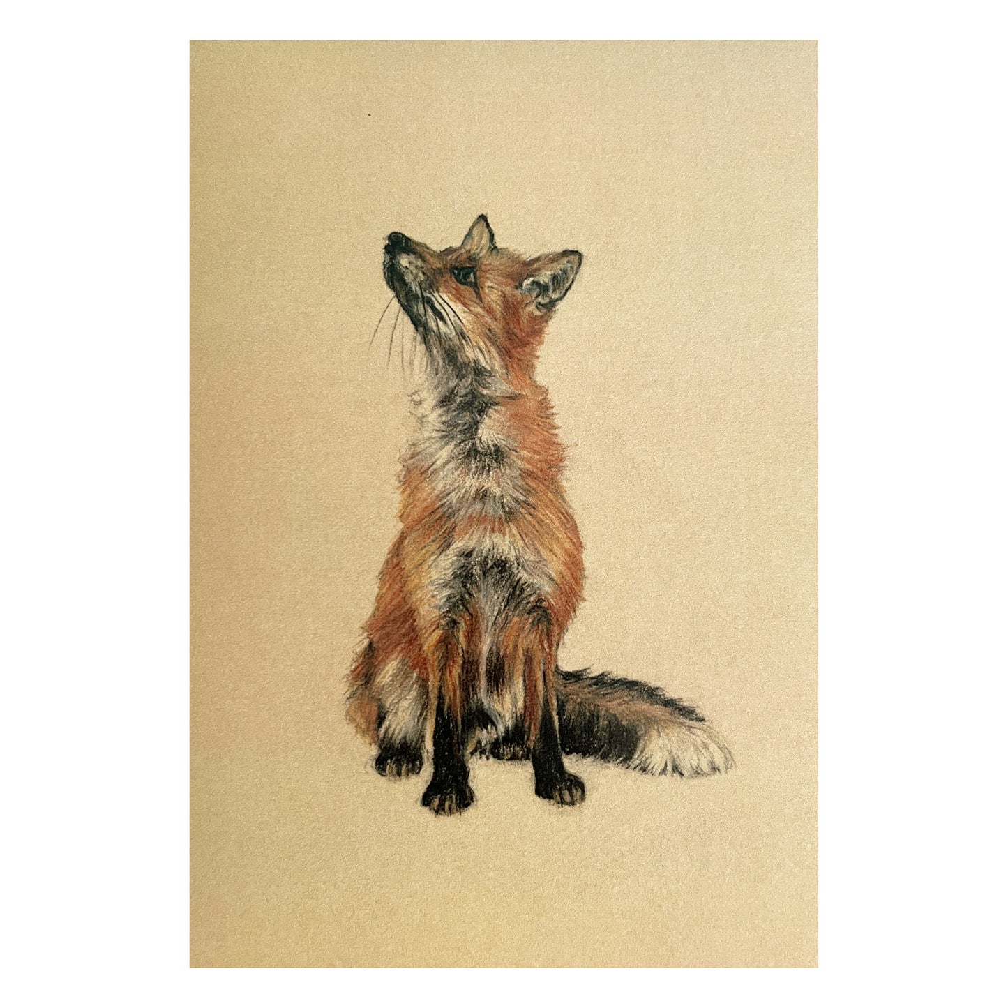 "Seated Fox" Greetings Card