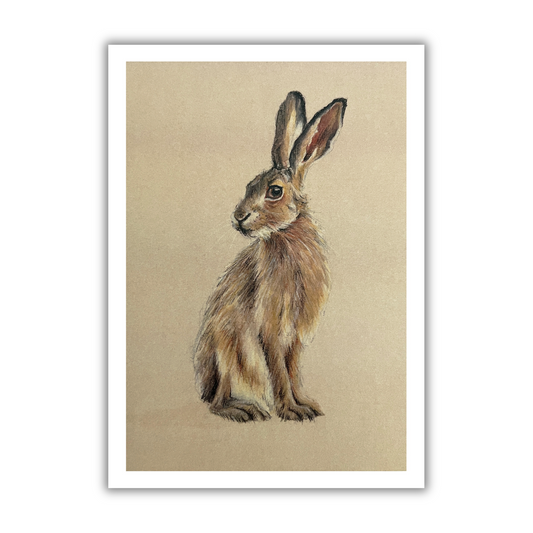 "Seated Hare" Greetings Card