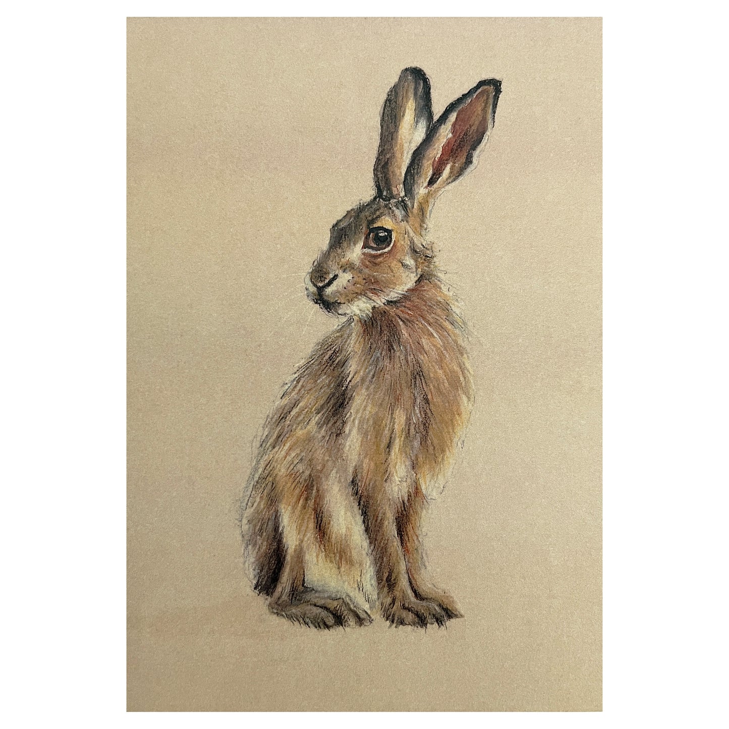 "Seated Hare" Greetings Card