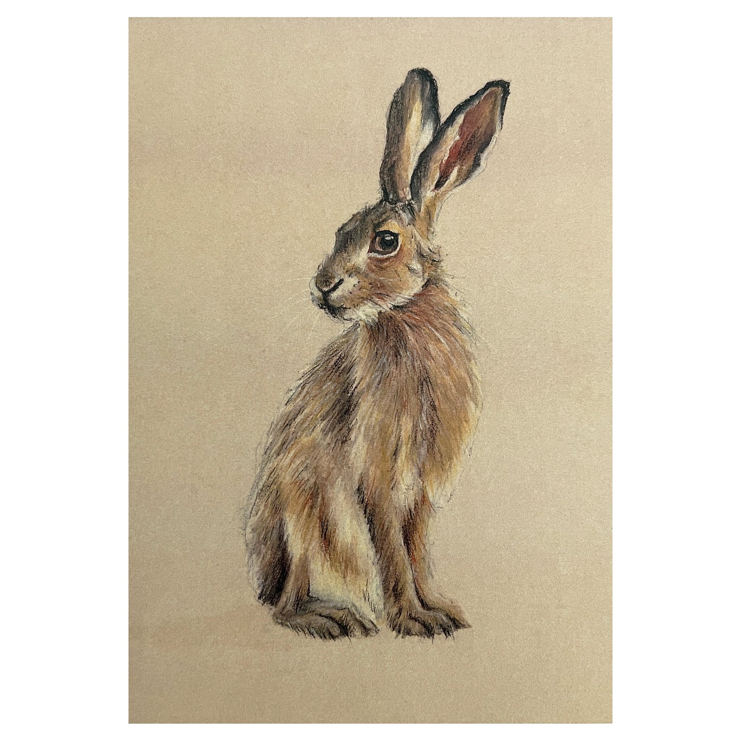 "Seated Hare" Signed Limited Edition Giclée Print