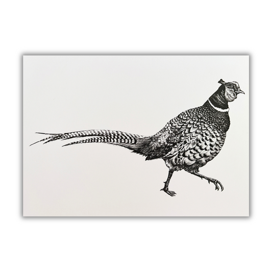 "Striding Pheasant" Greetings Card