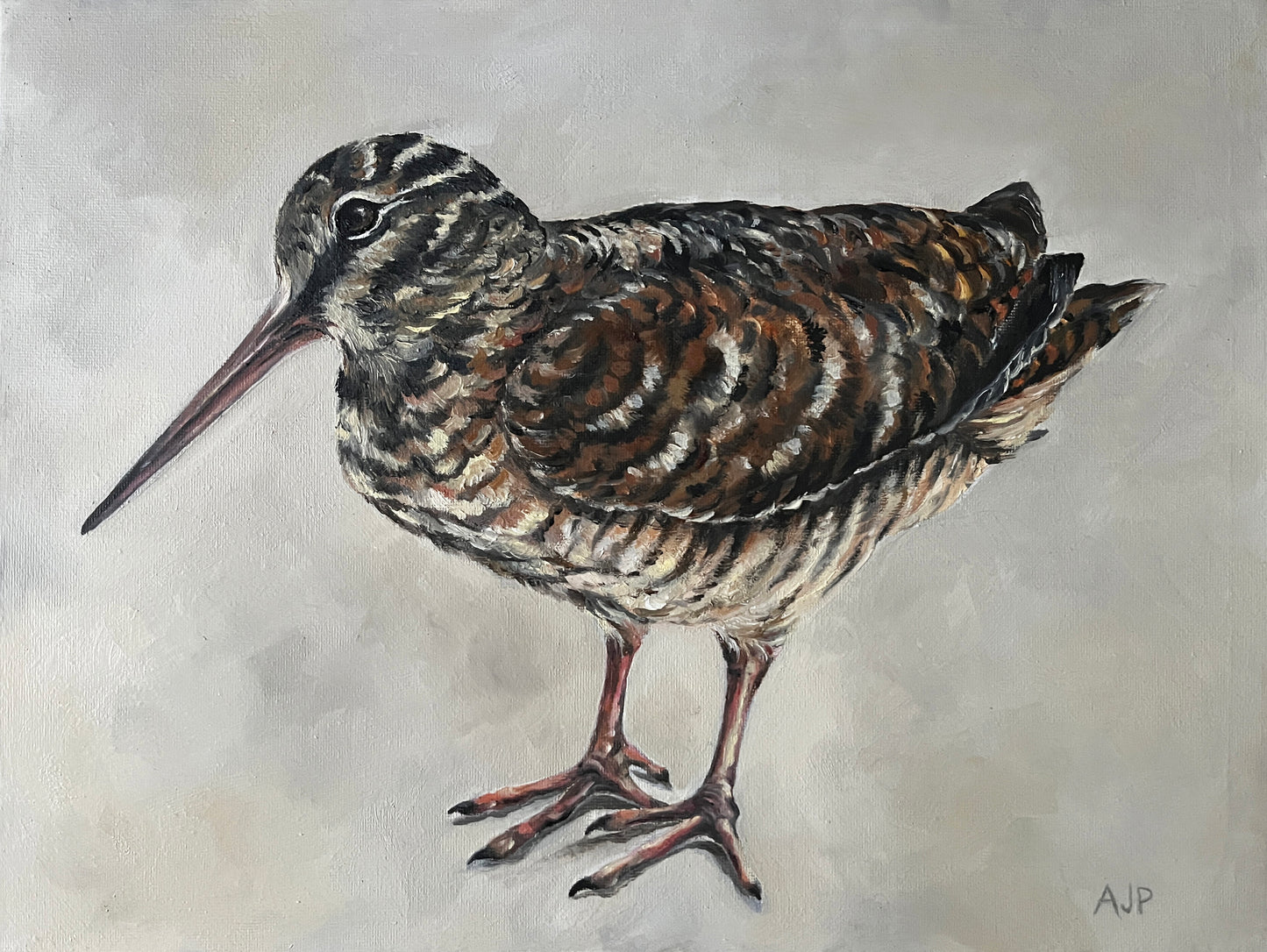 "Standing Woodcock 1"