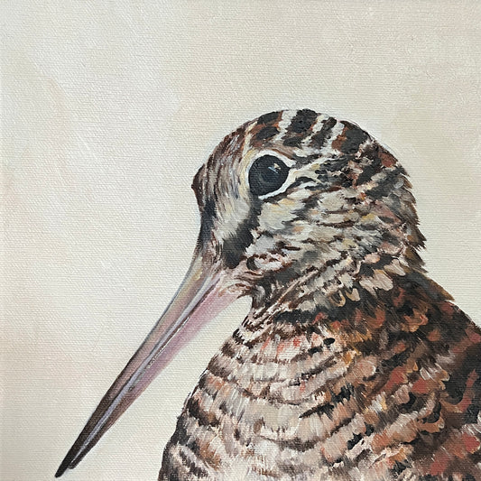 "Woodcock" Signed Limited Edition Canvas Print