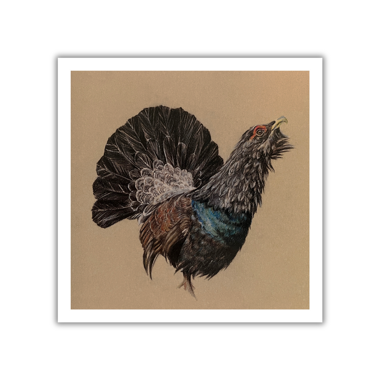 "Capercaillie" Greetings Card