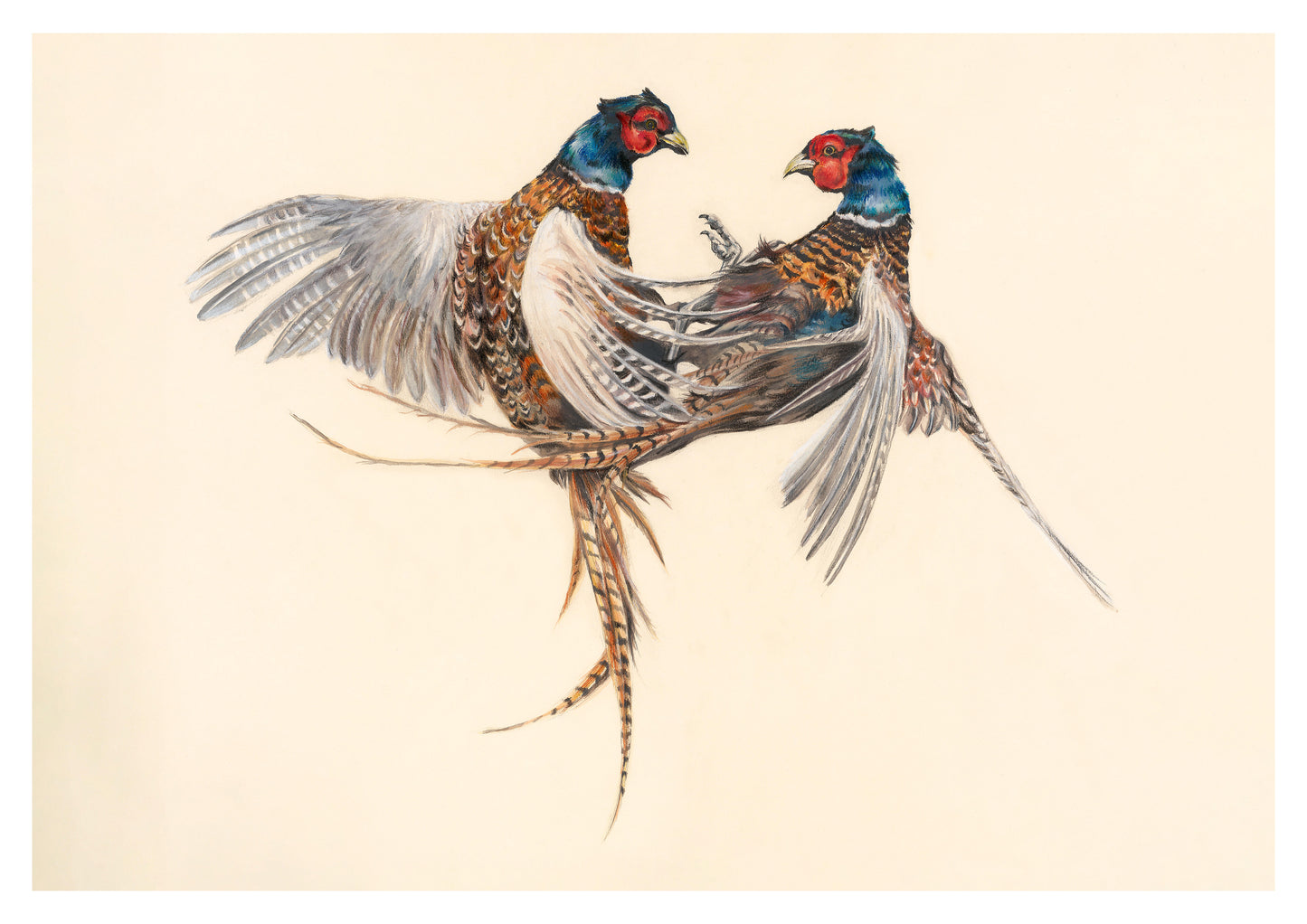 "Fighting Pheasants" Signed Limited Edition Giclée Print