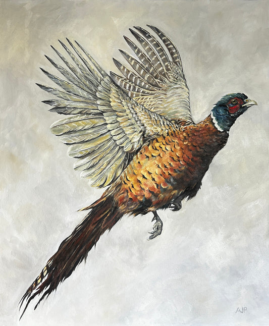 "Flying Pheasant"